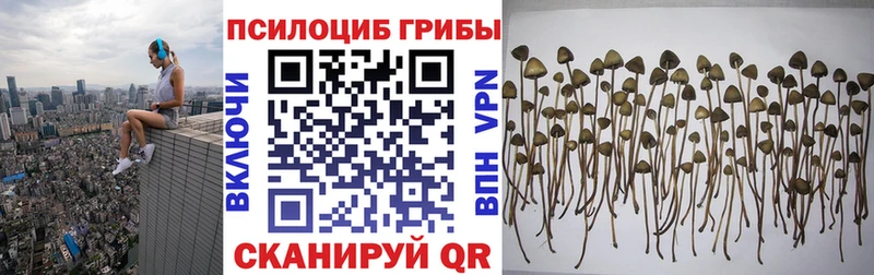 купить наркотики сайты  Юрьев-Польский  blacksprut как войти  Галлюциногенные грибы мицелий 